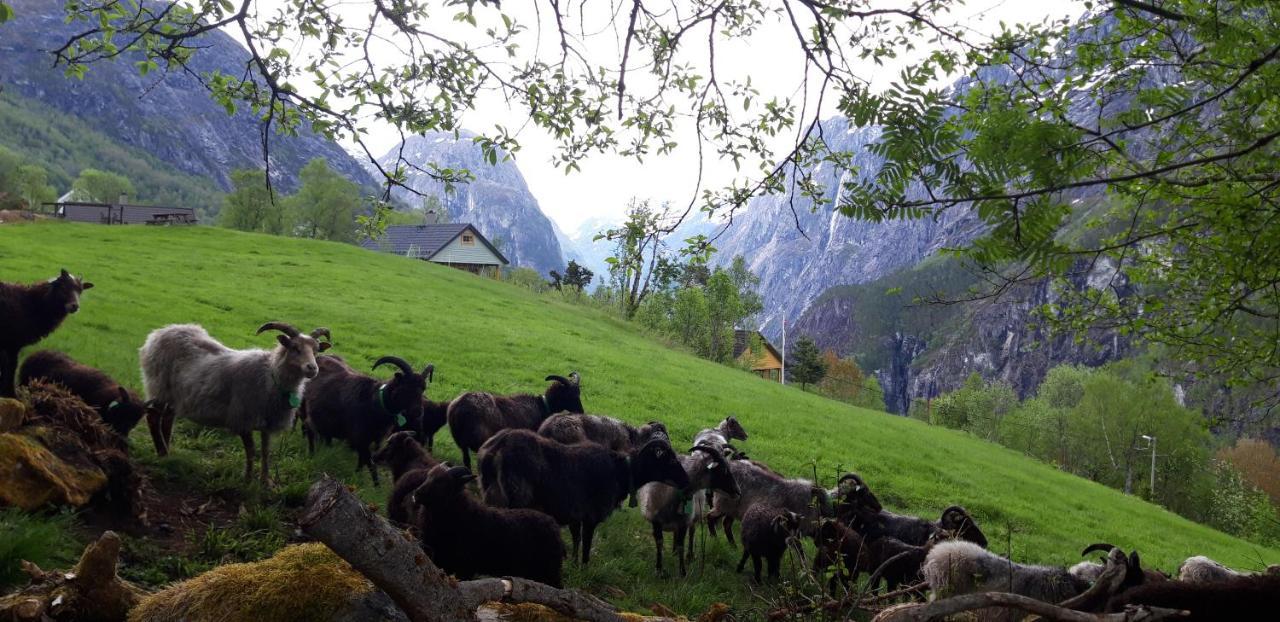 Stalheim Fjord Og Fjellhytter 외부 사진